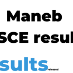 Maneb MSCE results 2024-25 - Maneb Examination Results Released