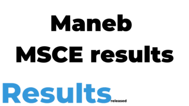 Maneb MSCE results 2024-25 - Maneb Examination Results Released