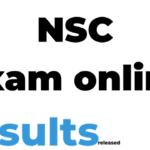 NSC Exam Results 2024-25 Released DBE