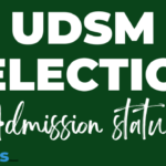 UDSM Selected Applicants 2024-25 PDF