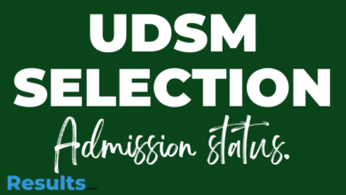 UDSM Selected Applicants 2024-25 PDF