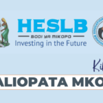 Breaking: Waliopata Mkopo HESLB Loan Allocation 2024-25 PDF