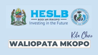 Breaking: Waliopata Mkopo HESLB Loan Allocation 2024-25 PDF