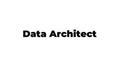 Data Architect Jobs Description