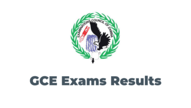 GCE Exams Results 2024-25 Zambia Released: How to Check Online