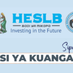 How to Check HESLB Loan Allocation via SIPA Account - Step-by-Step Guide