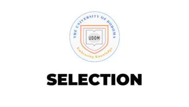 UDOM Selection 2024 Results: How to Check Your Admission Status Easily