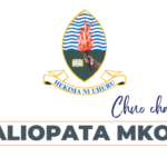 UDSM Waliopata Mkopo HESLB 2024/2025 PDF Released Check!