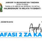 2 Vacancies Open at Babati District Council in November 2024