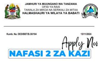 2 Vacancies Open at Babati District Council in November 2024