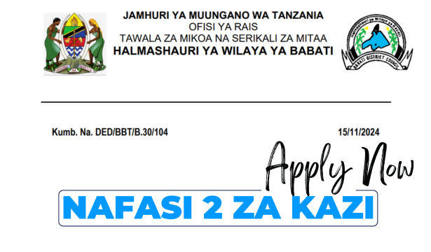 2 Vacancies Open at Babati District Council in November 2024