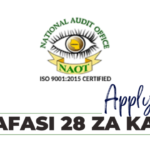 28 Vacancies Open at National Audit Office of Tanzania (NOAT)