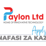 Business Development and Client Service Officer Jobs at SasaPay Paylon LTD