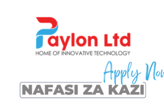 Business Development and Client Service Officer Jobs at SasaPay Paylon LTD