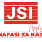 Control Tower Analyst (VAN) Jobs at JSI in November 2024