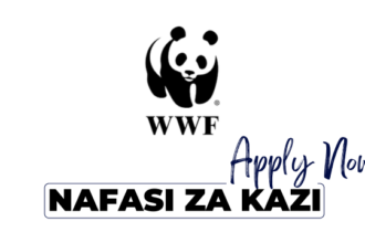 Head of Business Development Jobs at WWF in November 2024