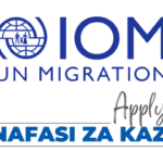 Hygiene Promoter-Interpreter Jobs at IOM Tanzania November 2024 Released