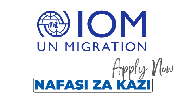 Hygiene Promoter-Interpreter Jobs at IOM Tanzania November 2024 Released