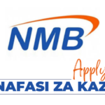 Product Manager; Agri Retail Products Jobs at NMB Bank Tanzania in November 2024