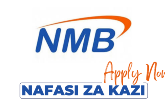 Product Manager; Agri Retail Products Jobs at NMB Bank Tanzania in November 2024