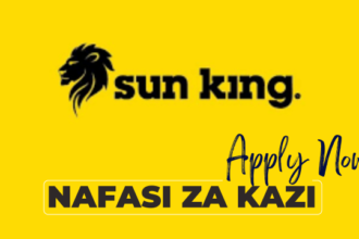 Regional Fraud Analyst Jobs at Sun King in November 2024