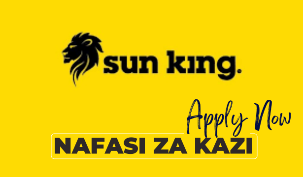 Regional Fraud Analyst Jobs at Sun King in November 2024