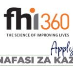 Senior Technical Officer, Strategic Information Jobs at FHI 360 in November 2024