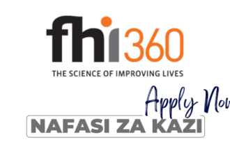 Senior Technical Officer, Strategic Information Jobs at FHI 360 in November 2024